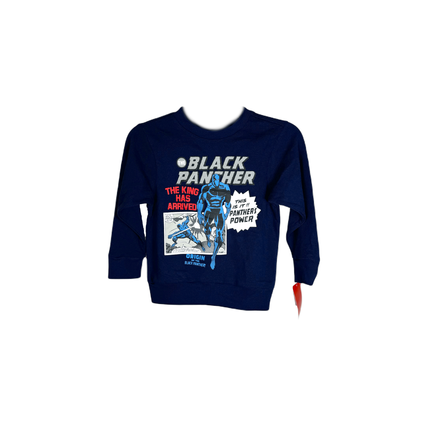 Boys' Marvel Black Panther Crewneck Graphic Sweatshirt Pullover, Blue