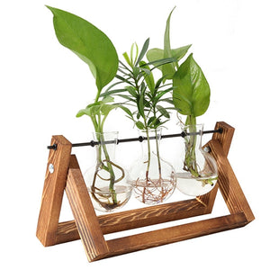 Desktop Glass Planter Bulb Plant Terrarium with Wooden Stand Air Planter Glass Vase Metal Swivel Plant Vase for Hydroponics by VYSN